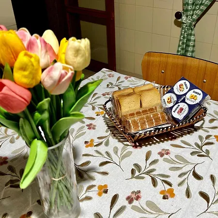 Apartment Casa Verdi Corleone